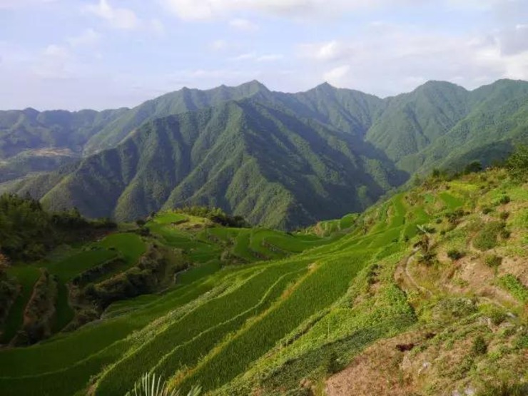 白际位于安徽省休宁县,海拔800多米的白际山脉群峰之中,因高耸入云接