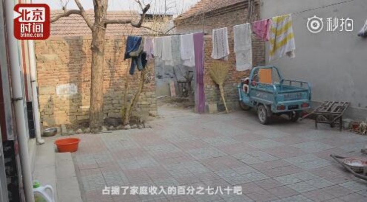 邹平多少人口_邹平地图(3)