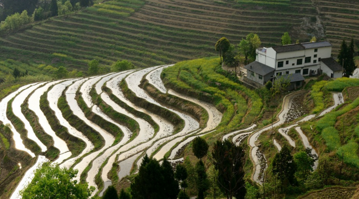 小众旅游会选址的地方:汉阴油菜花