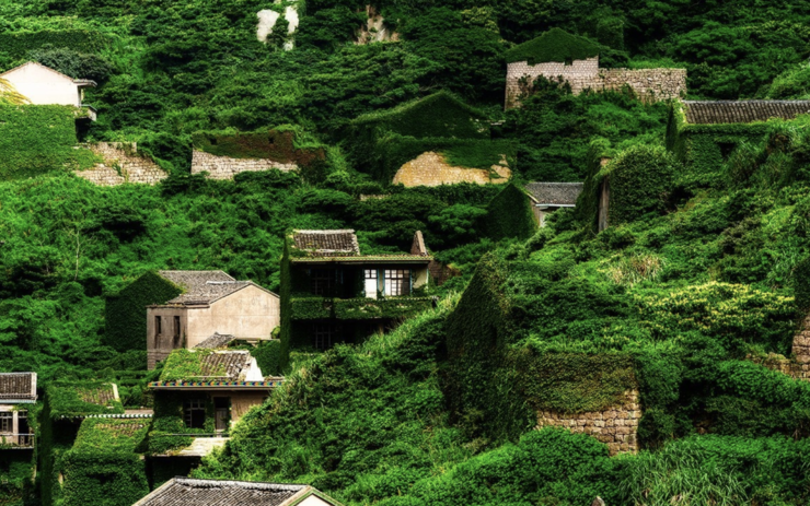 村庄人口门楼_村庄门楼牌图片大全