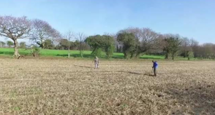 探宝迷坚持30年终获回报 发现大量公元前古银币 - 子泳 - 子泳WZ的博客 探宝迷坚持30年终获回报 发现大量公元前古银币 - 子泳 - 子泳WZ的博客