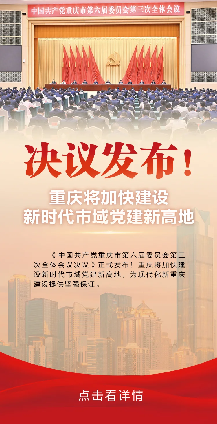 svg|决议发布！重庆将加快建设新时代市域党建新高地