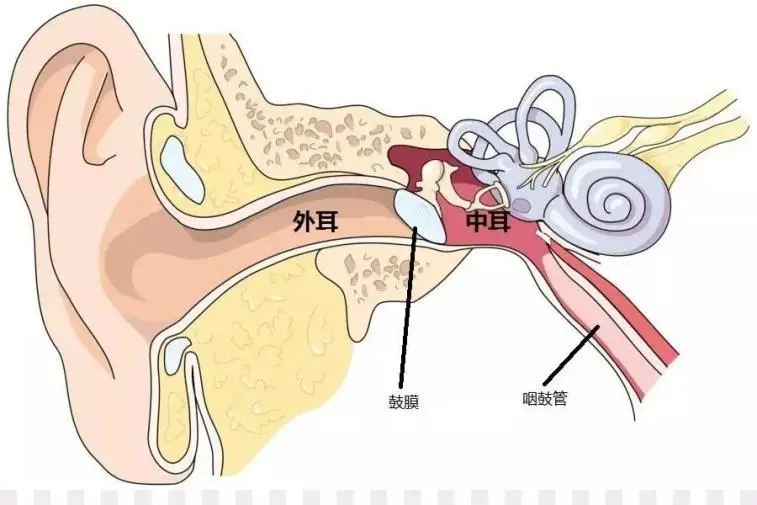 耳朵不舒服，是不是得中耳炎？成都民生耳鼻喉专科医院：出现这几个症状就要注意(图1)