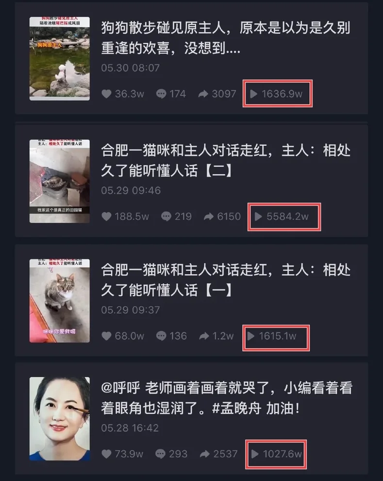 从0到1，中原网抖音怎么做到了视频账号第1名？插图7