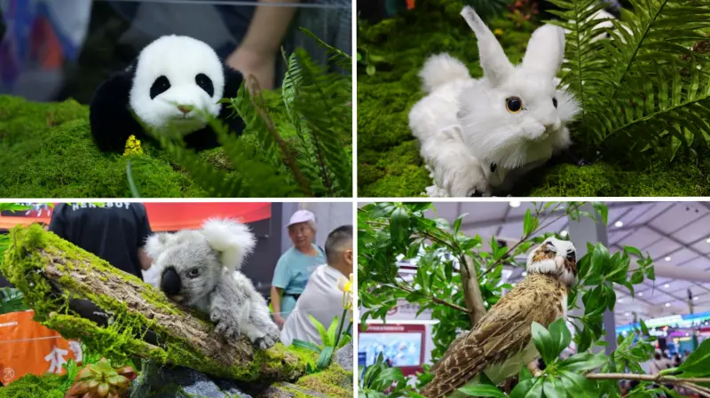 技术与自然法则的交织创新——恒之未来Hengbot World惊艳亮相2025WRC(图5)