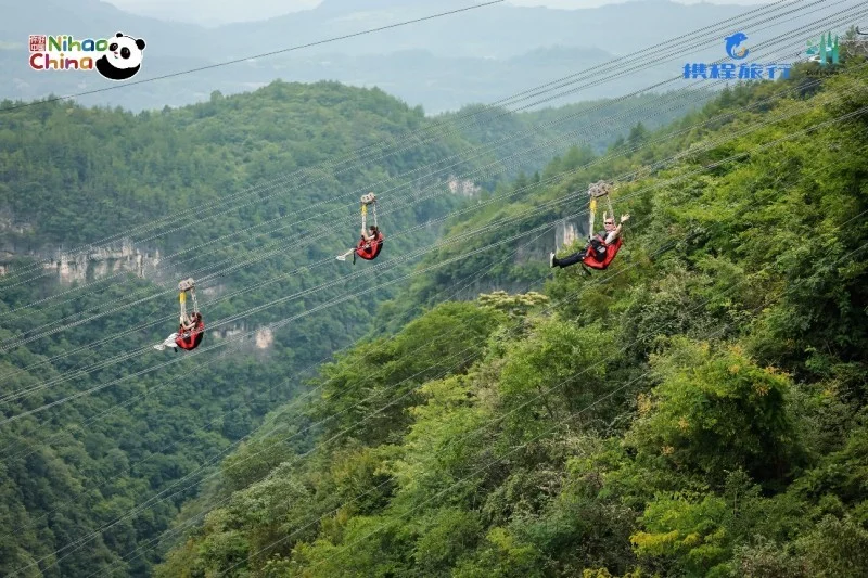 深化文旅开放，共绘合作新篇——“你好！中国”亚洲旅行商张家界行圆满举行