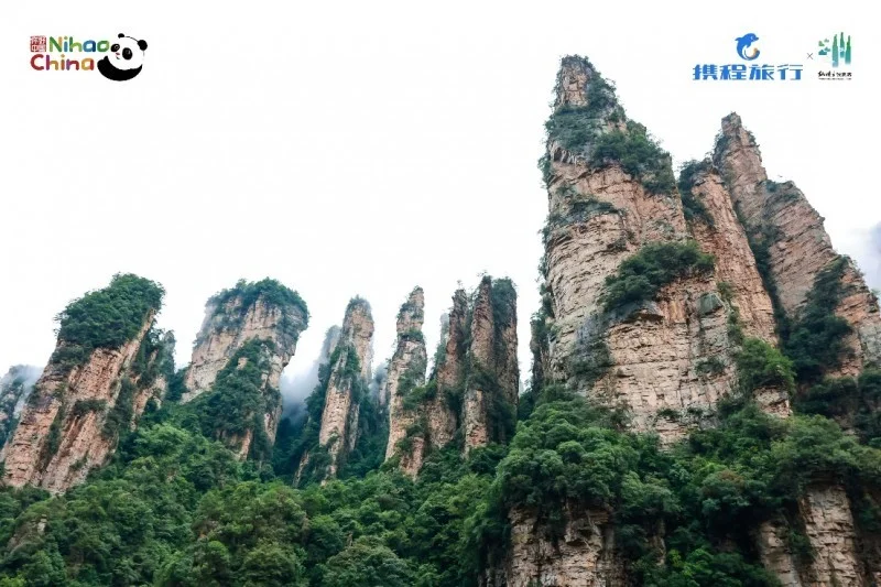 深化文旅开放，共绘合作新篇——“你好！中国”亚洲旅行商张家界行圆满举行