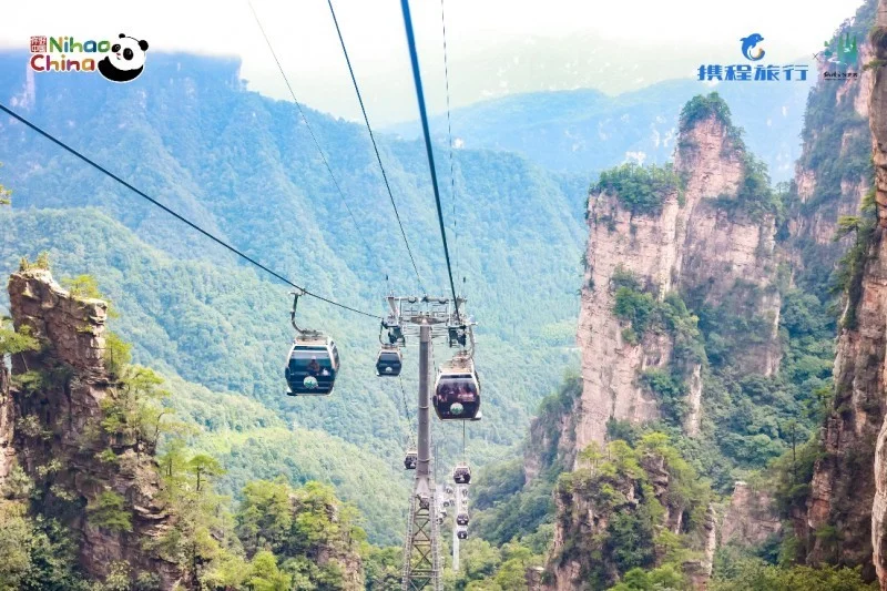 深化文旅开放，共绘合作新篇——“你好！中国”亚洲旅行商张家界行圆满举行