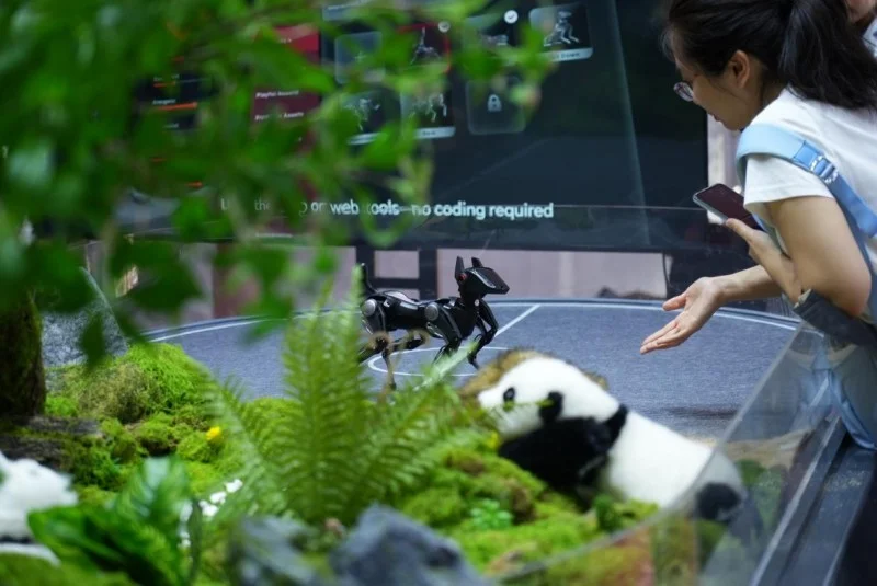 技术与自然法则的交织创新——恒之未来Hengbot World惊艳亮相2025WRC(图2)