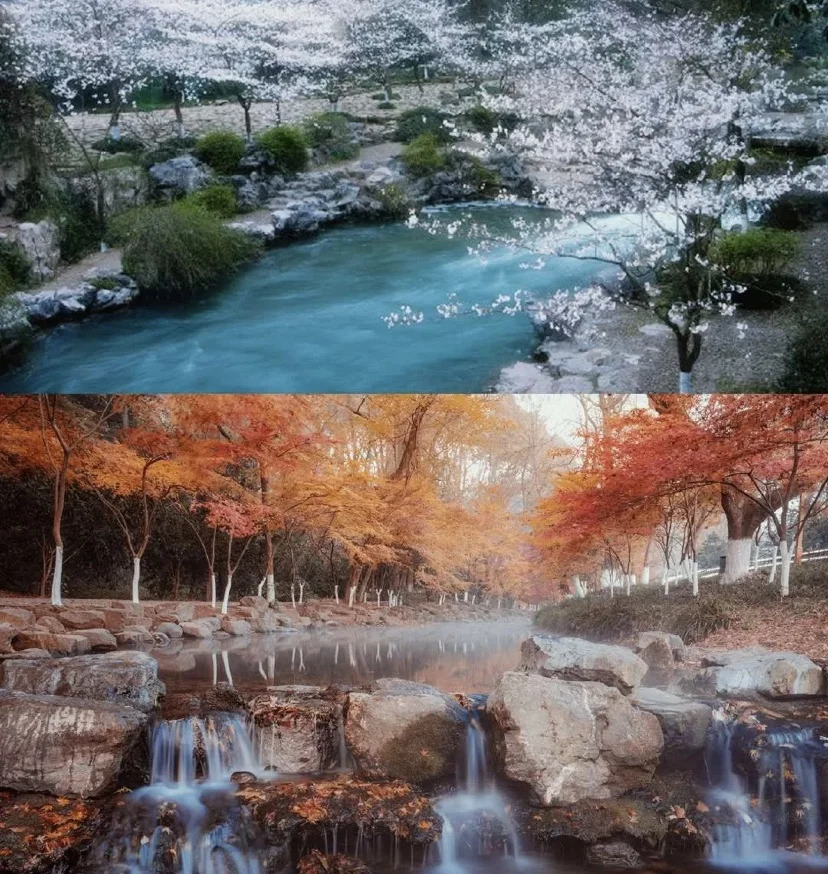 燃爆了(杭州秋季景点推荐图片)杭州秋季景点推荐一下2023已更新 第3张 燃爆了(杭州秋季景点推荐图片)杭州秋季景点推荐一下2023已更新 第3张
