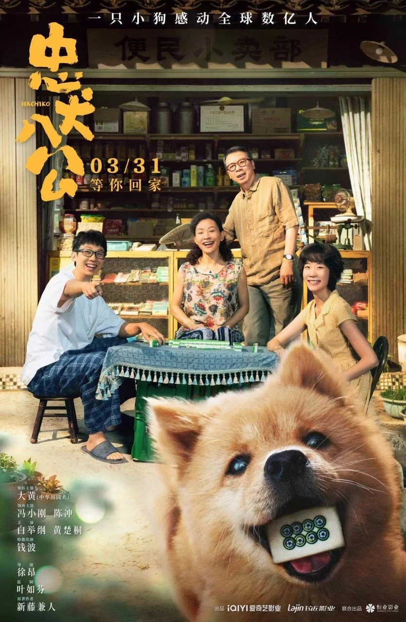 电影《忠犬八公》定档3月31日 再现狗狗感动全球数亿人的故事