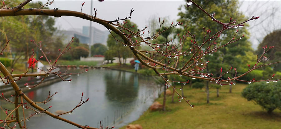 吉安视觉春雨润物细无声奏响春天交响乐