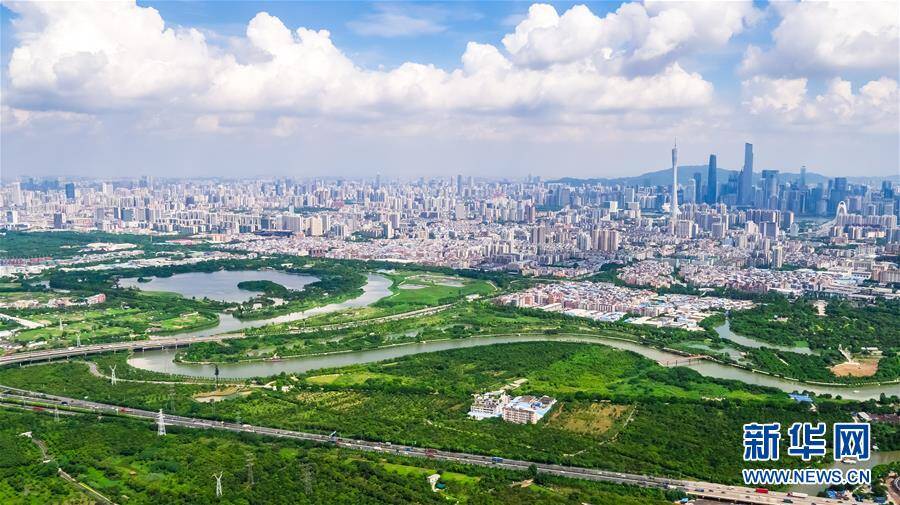 湿地就在城中央——珠三角重塑人与自然和谐共生图景