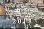 一图看懂中东2018