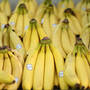 你天天吃的那种香蕉以后可能再也吃不到