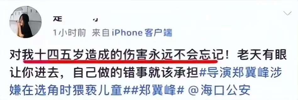 独家解读郑某峰被刑拘：如犯罪事实成立，情节严重可处五年以上有期徒刑