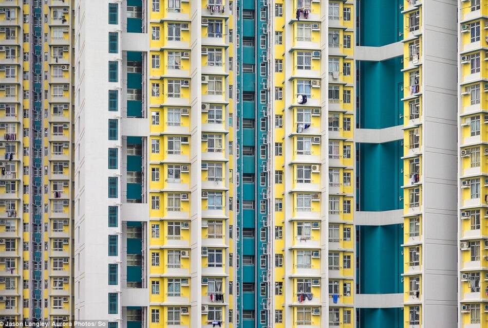 香港人口口_香港人口