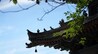 一日禅：拥抱生活