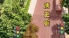 迎春路路口出行新变化，泰安交警提醒市民安全通行