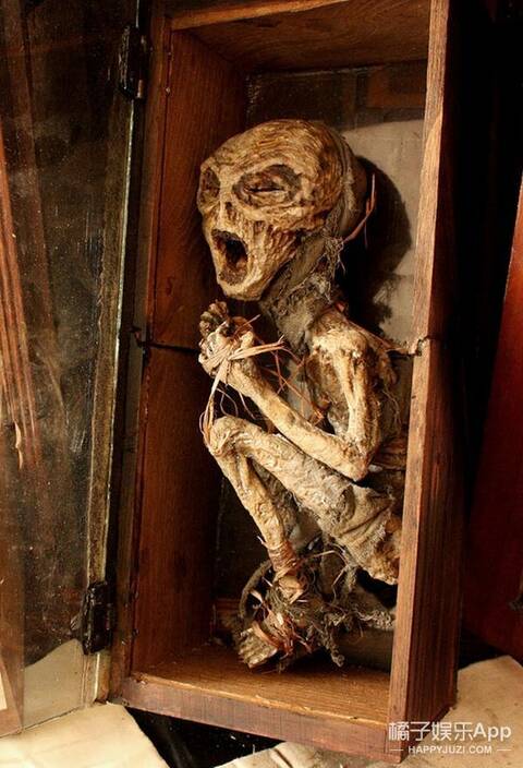 深夜毒物吸血鬼小仙子2006年他们在一个地窖发现了梅瑞林未确认生物