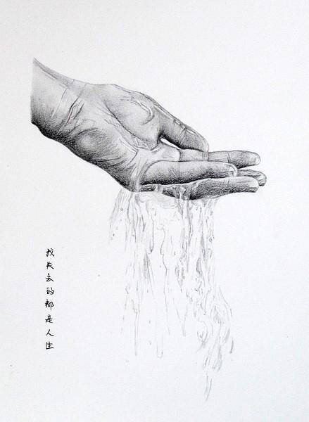 铅笔素描(ps:这是我自个的爪子)