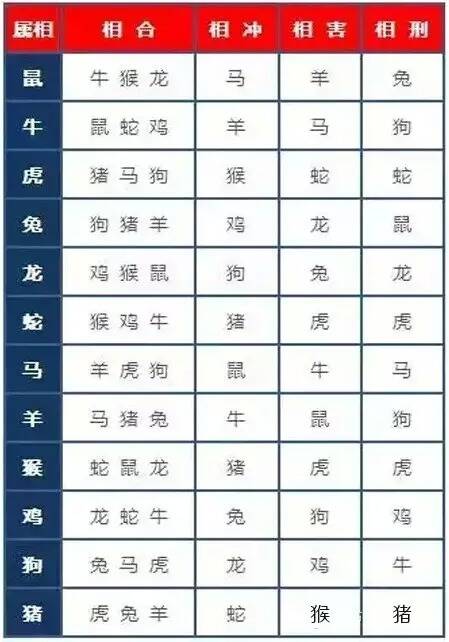 12生肖中什么人最冲你?哪些与你最合?
