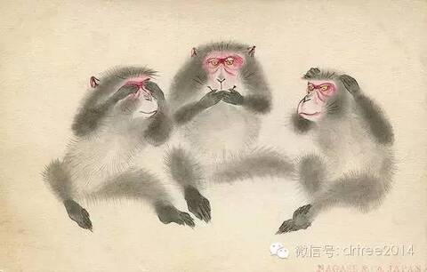 这个新年，我们变成“三不猿”_手机凤凰网