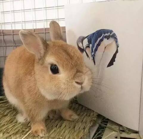 胖次走光摄影展,带你沐浴少女裙底的圣光_手机凤凰网