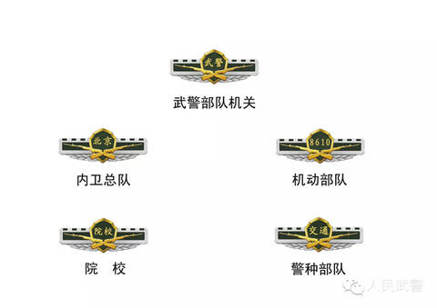 新式胸標分金屬和織嘜兩款九類,用