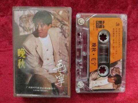 那些年，陪我们一起走过的毛宁歌曲