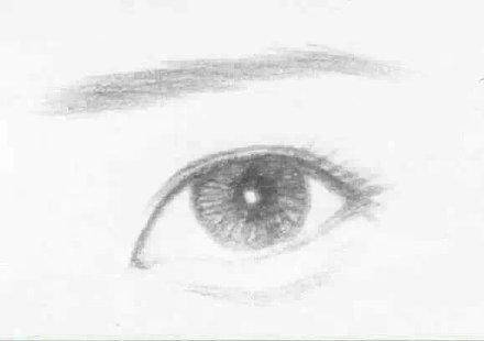 #来美安科普# 来识各种眼形:凤眼、桃花眼、杏眼