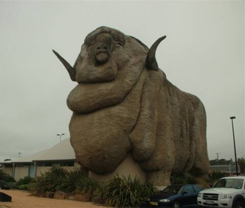 在澳大利亚的东南部有个世界上最大的羊雕塑,看起来又肥又壮,足足有