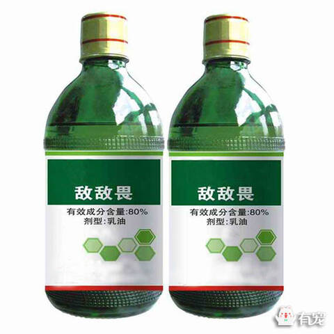 猫咪敌敌畏中毒肿么办?_手机凤凰网