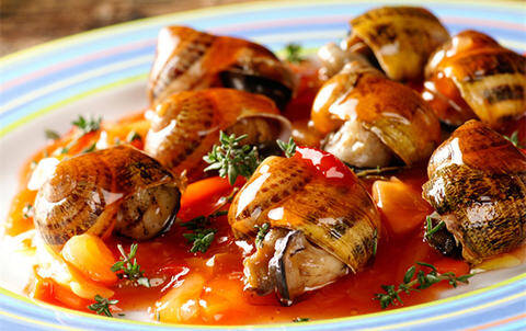 法国大蜗牛:你可能只吃过山寨货