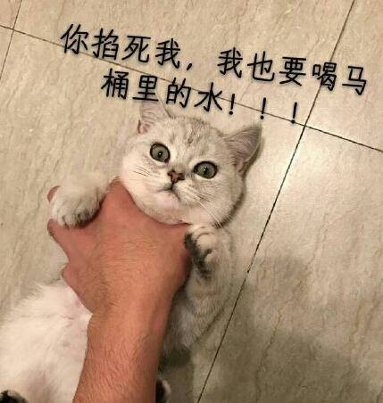 晚fun来了161230:所谓大度 是你没犯错女人也能原谅你