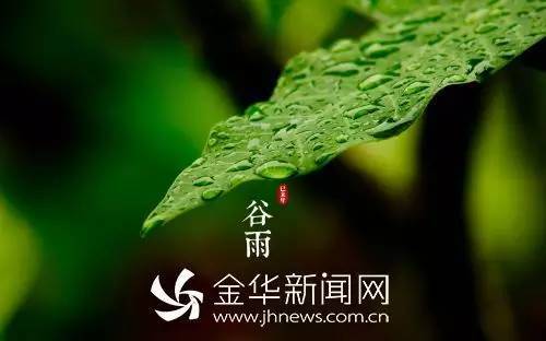 一场雨 纷纷洒洒 滋润了华夏 数千年《谷雨/徐贤良 poem