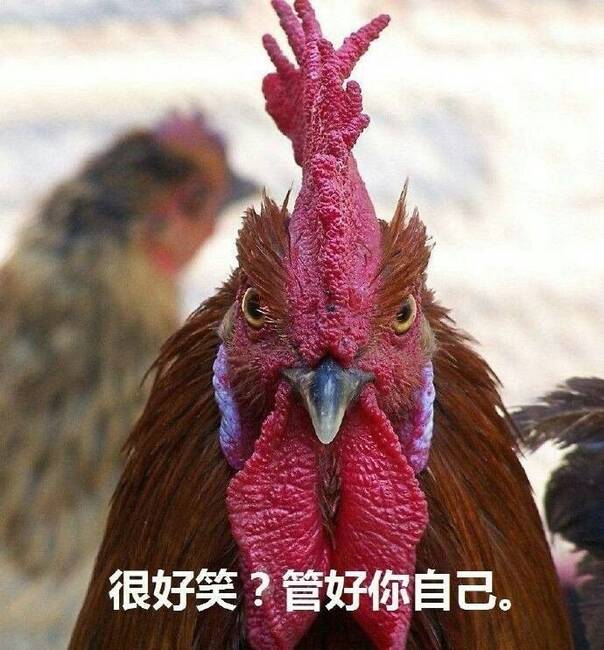 上联:采药超人妇之宝 下联:杜甫能动水为鸡 横批:好狗边上飘 【没品