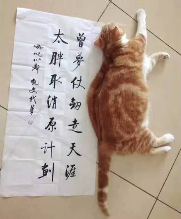 fun来了170511:女孩子连对象都不搞了 嫌耽误玩的时间
