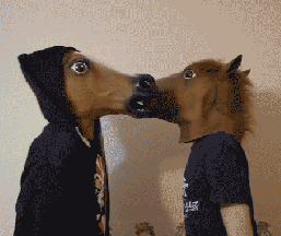 257_216gif 动态图 动图
