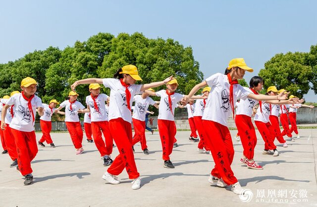 据了解,"东乡武术"是安徽省的武术流派,是首批"中国体育非物质文化
