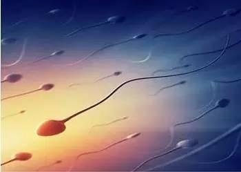 什么样的精子质量是健康的?