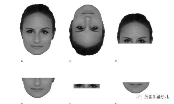 C1378624C37E6A0E86B07B006947B38A7421A417_size10_w598_h357.jpeg