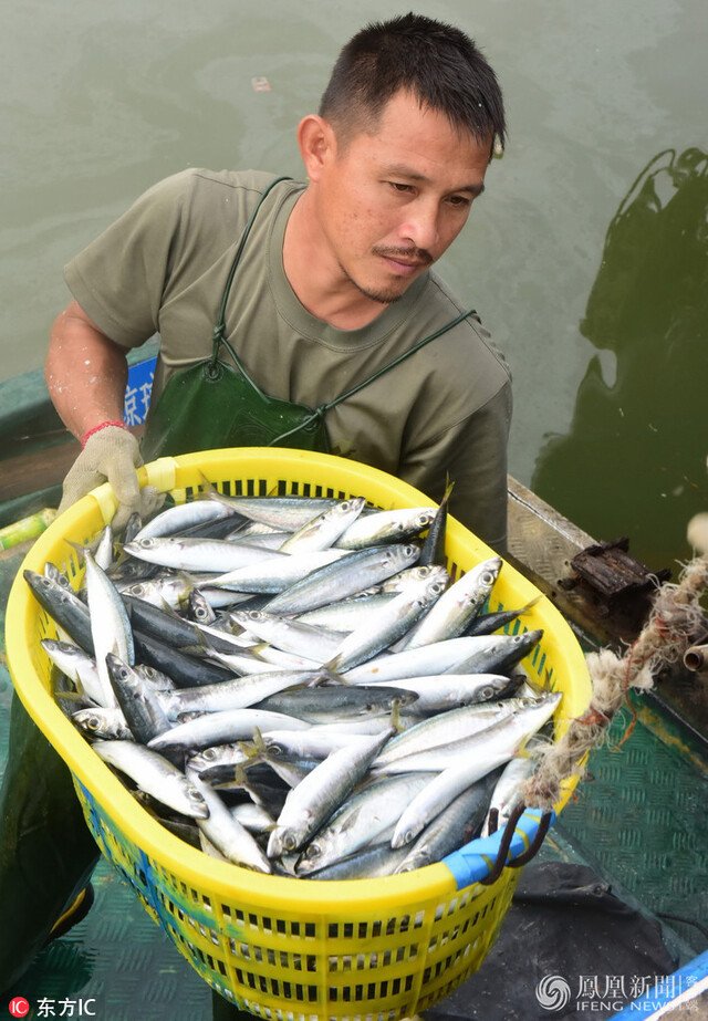海南渔民捕捞现场