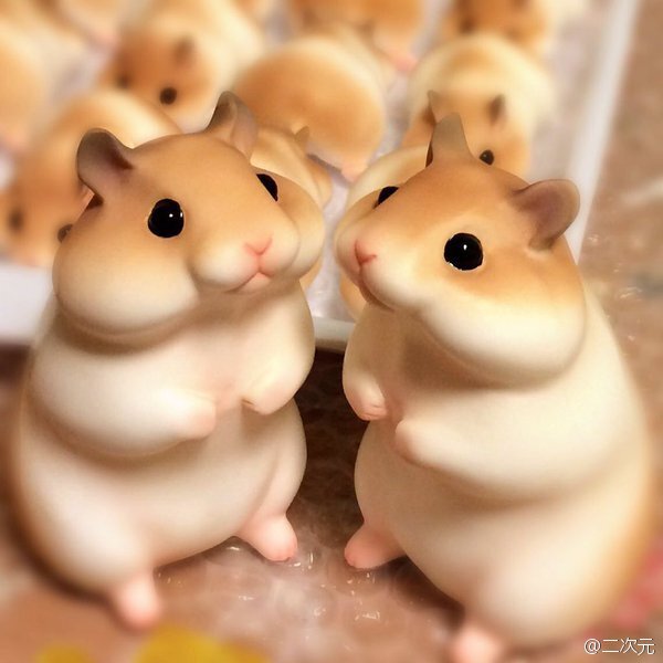 新鲜出炉的仓鼠宝宝 | 生活宝典