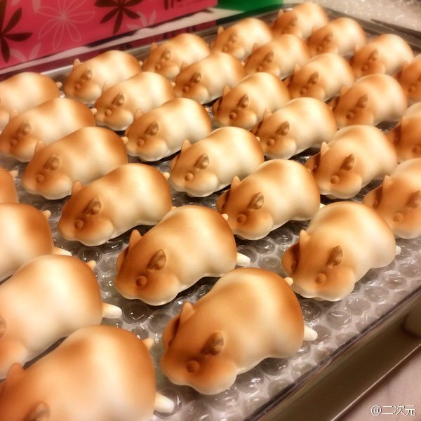 新鲜出炉的仓鼠宝宝 | 生活宝典