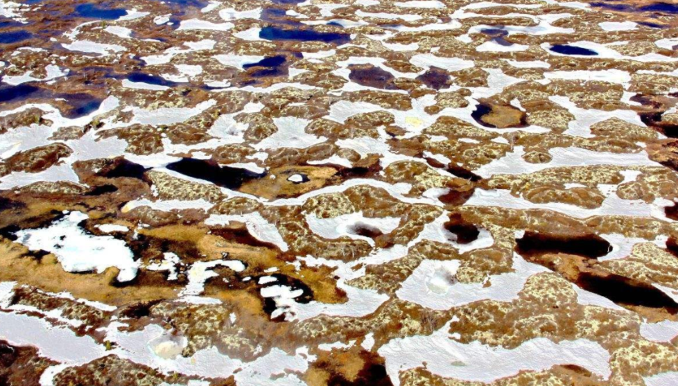 斯瓦尔巴群岛冻土层图片