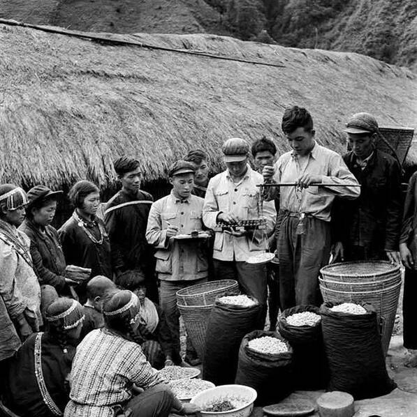 50年代的农村生活图片图片