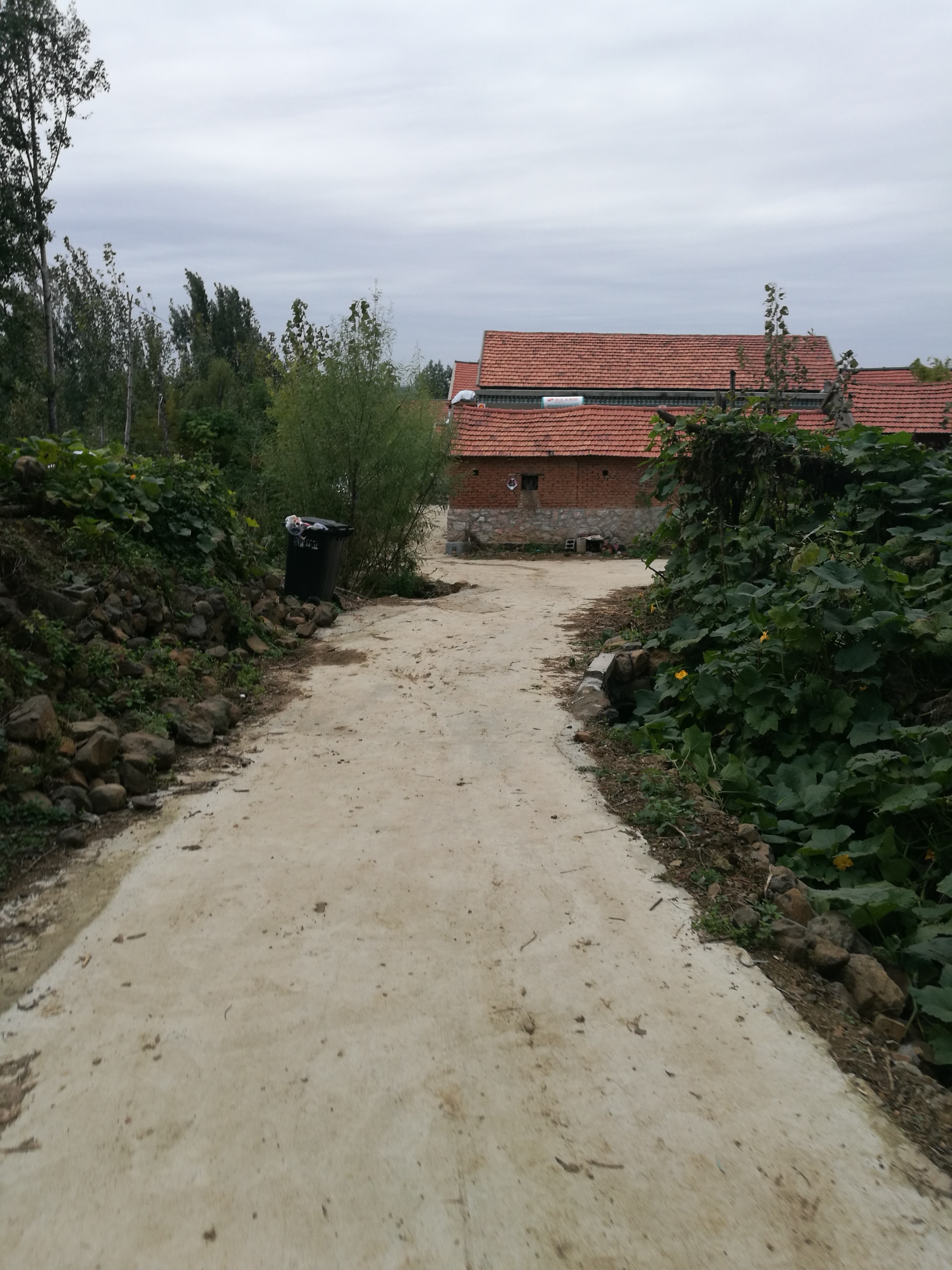 [探访美丽乡村]临沂南山村:山青水秀,有了史上首条水泥路