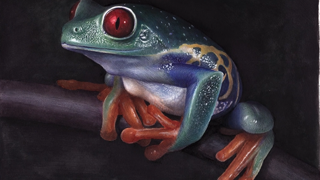 实拍手绘3d青蛙立体画你也学得会