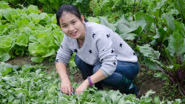 谁说农村不如城市农村小美女现摘现做山珍海味不如它